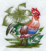 Red Junglefowl