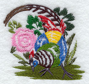 Lady Amherst's Pheasant