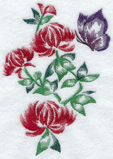 Chrysanthemums & Butterfly