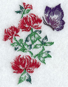 Chrysanthemums & Butterfly