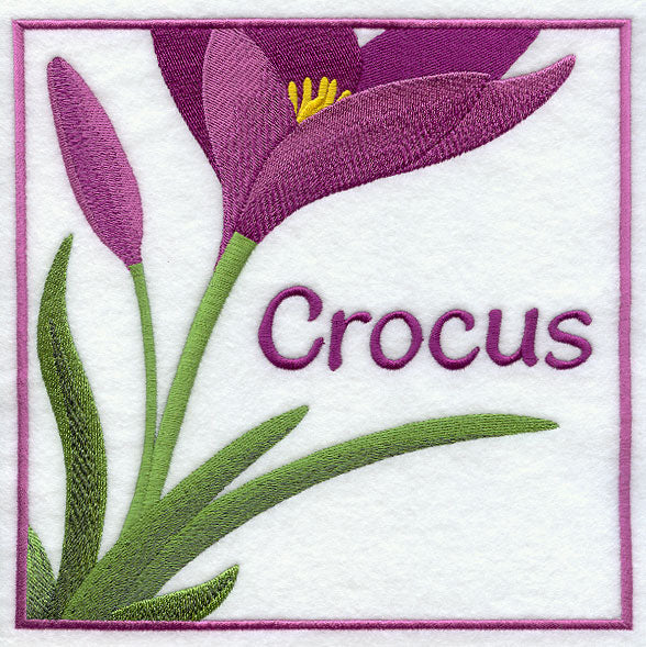 Crocus Floral Square