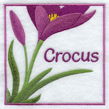 Crocus Floral Square