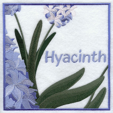 Hyacinth Floral Square