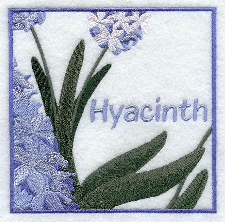 Hyacinth Floral Square
