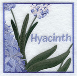 Hyacinth Floral Square