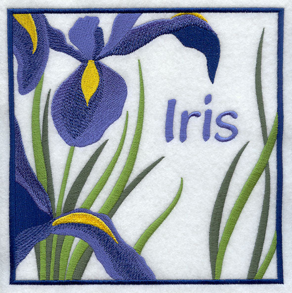 Iris Floral Square