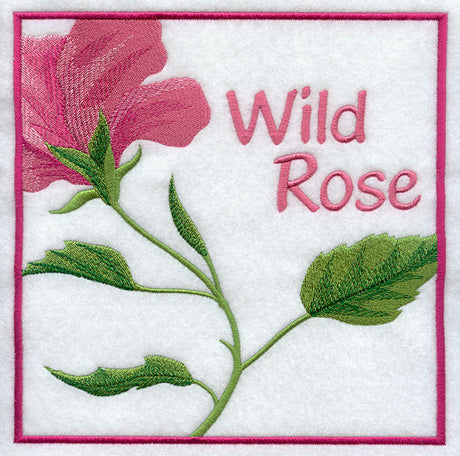 Wild Rose Floral Square