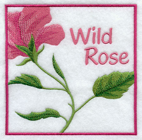 Wild Rose Floral Square