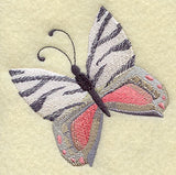 Zebra Butterfly