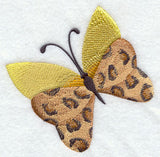 Leopard Butterfly