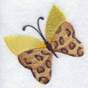 Leopard Butterfly