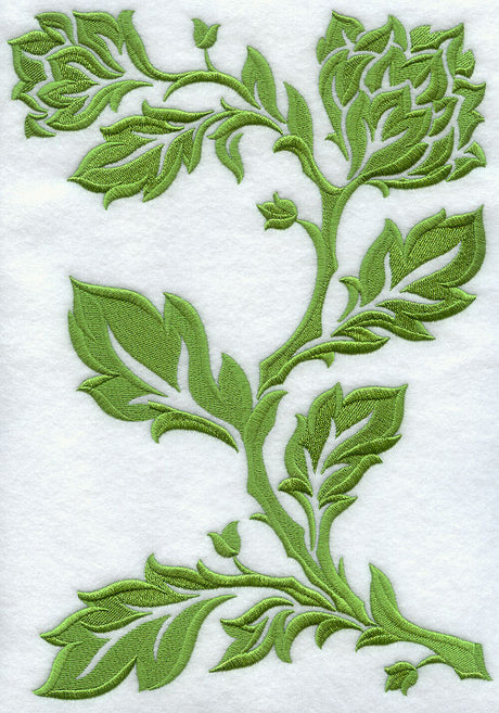 Damask Branch