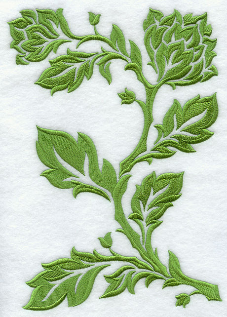 Damask Branch