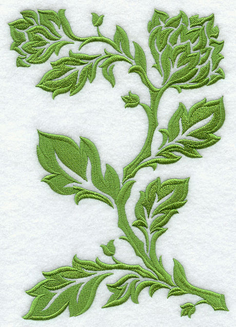 Damask Branch