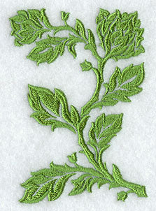 Damask Branch