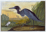 Little Blue Heron