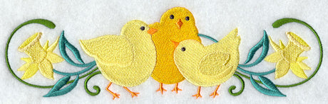 Chick and Daffodil Border