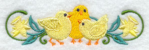 Chick and Daffodil Border