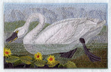 Tundra Swan