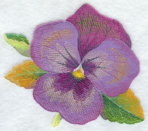 Pansy in Watercolor