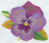 Pansy in Watercolor