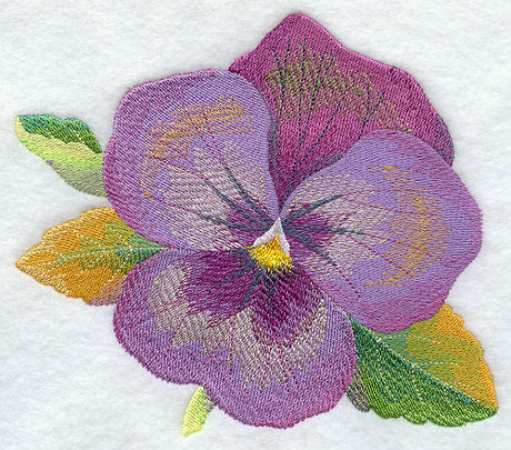Pansy in Watercolor
