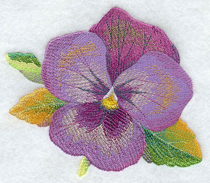 Pansy in Watercolor
