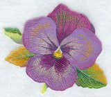 Pansy in Watercolor