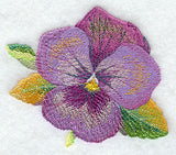 Pansy in Watercolor