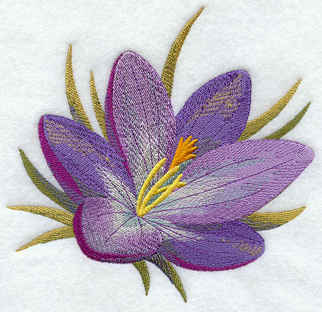 Crocus in Watercolor