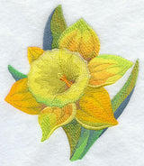 Daffodil in Watercolor