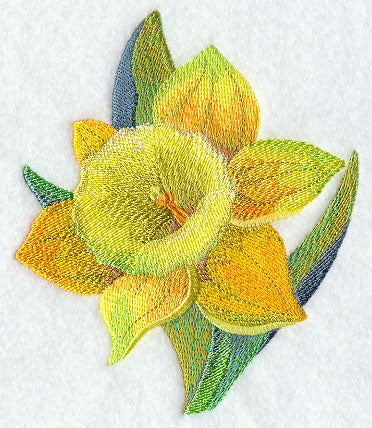 Daffodil in Watercolor