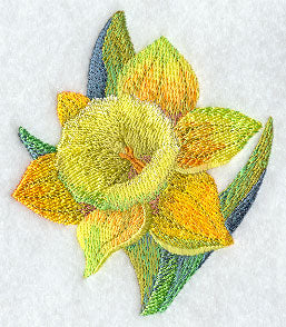 Daffodil in Watercolor