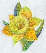 Daffodil in Watercolor