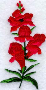Snapdragon