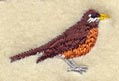 Bird - Robin