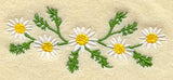 Chamomile
