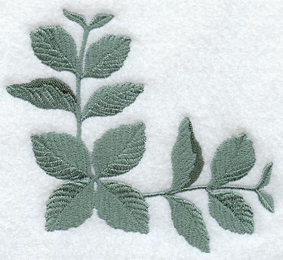 Mint Leaves