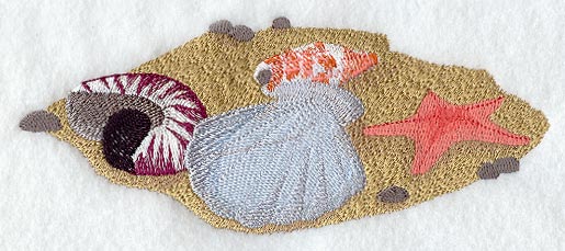 Seashell Scene