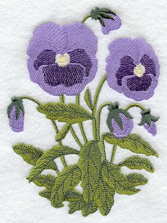 Pansies
