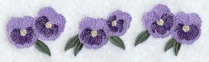 Pansy Border