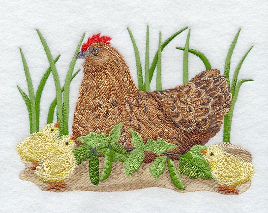 French Hen & Chicks