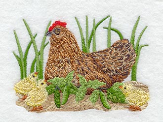 French Hen & Chicks