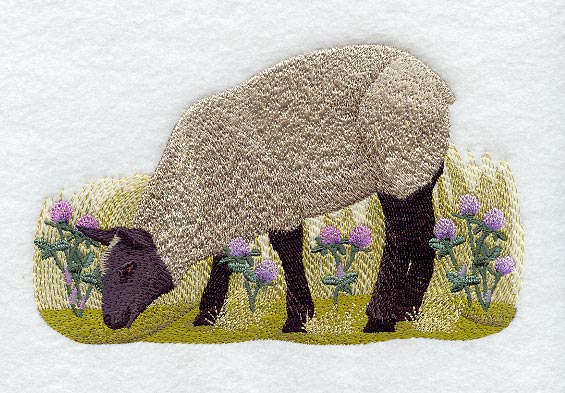 French Sheep