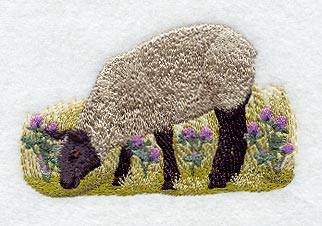 French Sheep