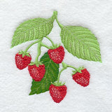 Raspberries