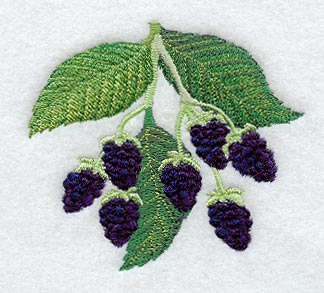 Blackberries