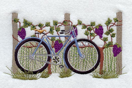 Bicycle & Vineyard