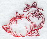 Vine-Ripened Tomatoes