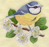 Blue Tit on Blackthorn Branch